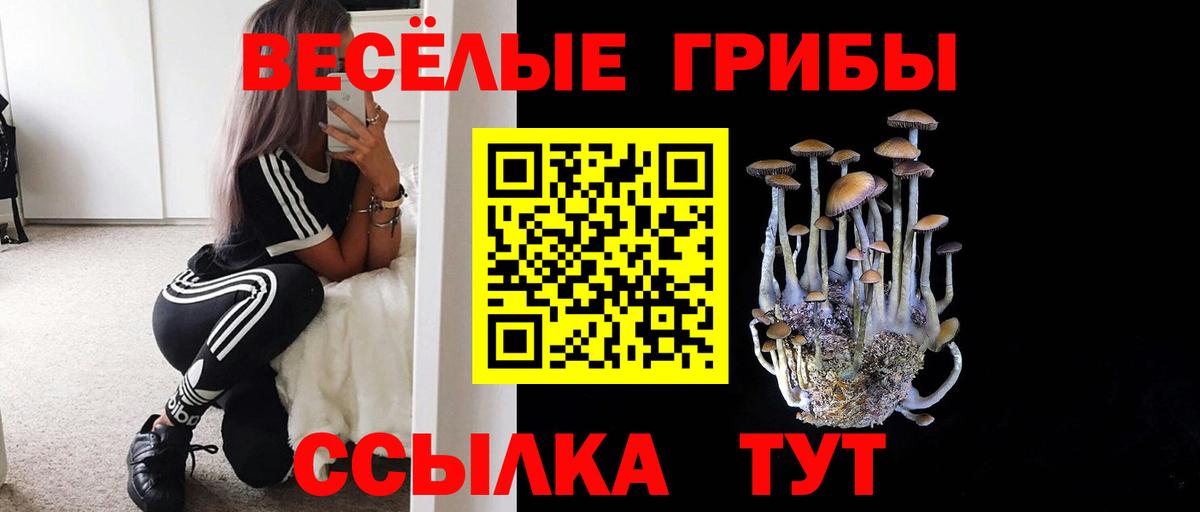 Галлюциногенные грибы Cubensis Гагарин